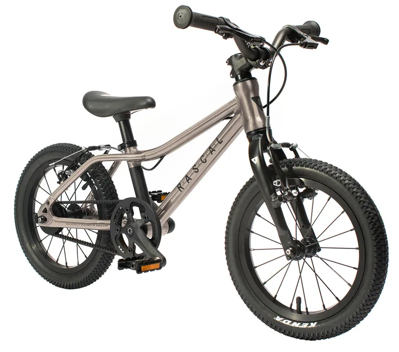 Rascal 14 inch Wheel Kids Bike 2021 in Titanium-1